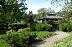 Advanced Seniors Healthcare Group, Inc.