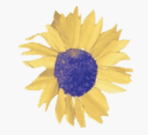 Sunny View Retirement Community