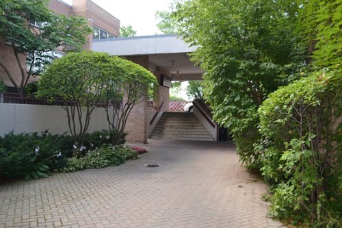 Elevate Care Northbrook