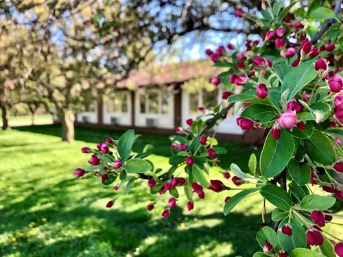 Accura HealthCare of Newton West