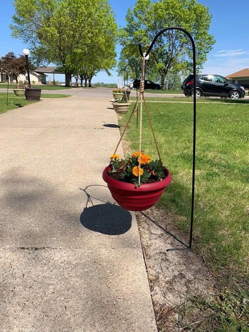 Accura HealthCare of Marshalltown