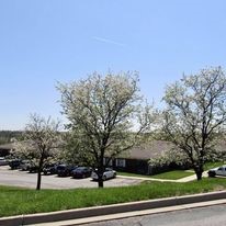 Liberty Health & Wellness