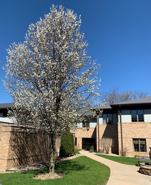 Park Village Health Care Center