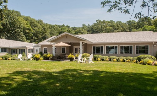 Elderwood Of Scallop Shell At Wakefield