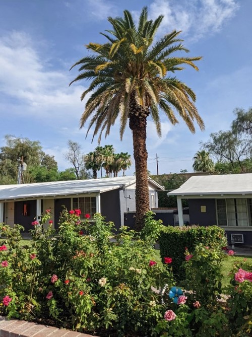 Oasis Assisted Living Center