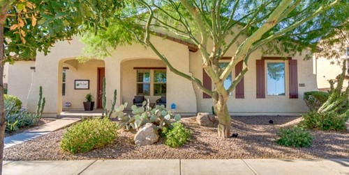Alder Leaf at Hasting Farms