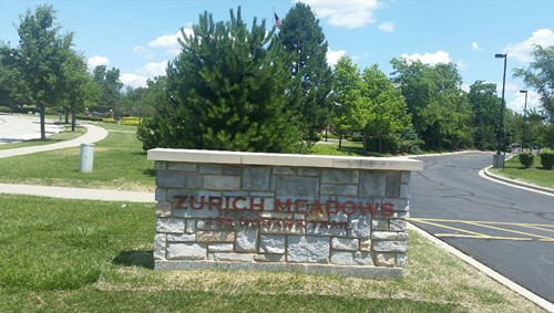 Zurich Meadows