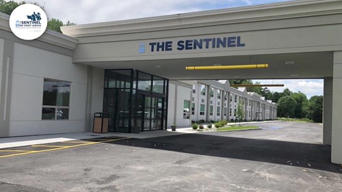 The Sentinel of Port Jervis