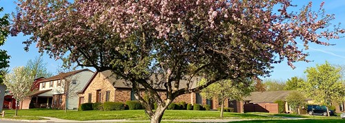 Westerwood Senior Living