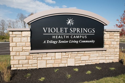 Violet Springs Senior Living