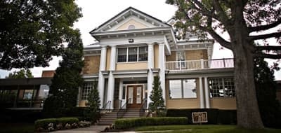 The Willows Of Living Branches