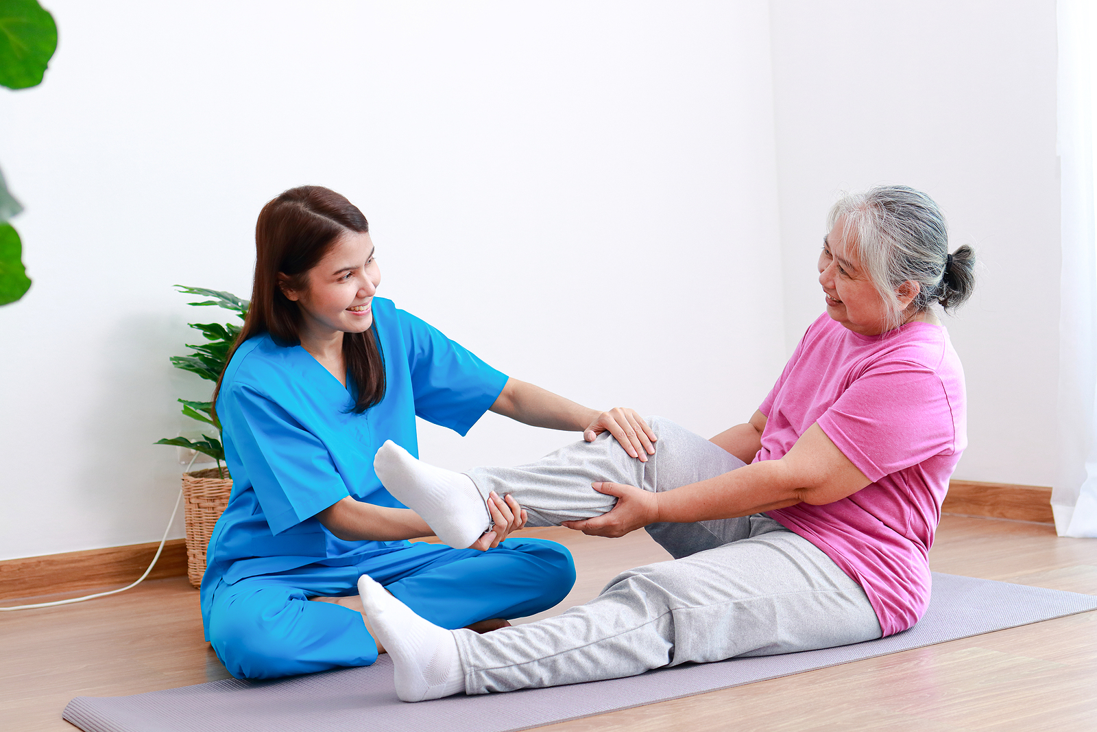 Physical Therapy